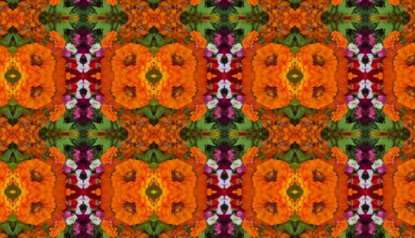 A mix of lots of different flowers - some very dark red spiked flowers - Image 4