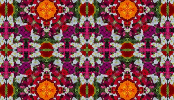 A mix of lots of different flowers - some very dark red spiked flowers - Image 8