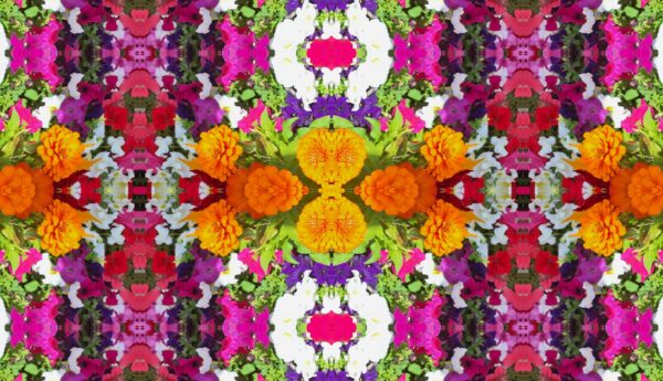 A mix of lots of different flowers - some very dark red spiked flowers - Image 10