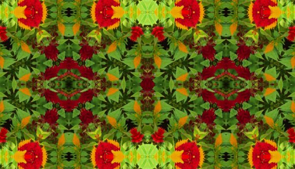 A mix of lots of different flowers - some very dark red spiked flowers - Image 15