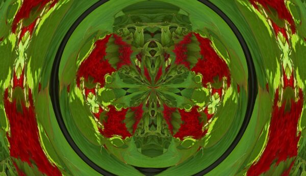 A mix of lots of different flowers - some very dark red spiked flowers - Image 16