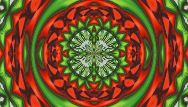 Agrotonomy tomato book cover - Image 3