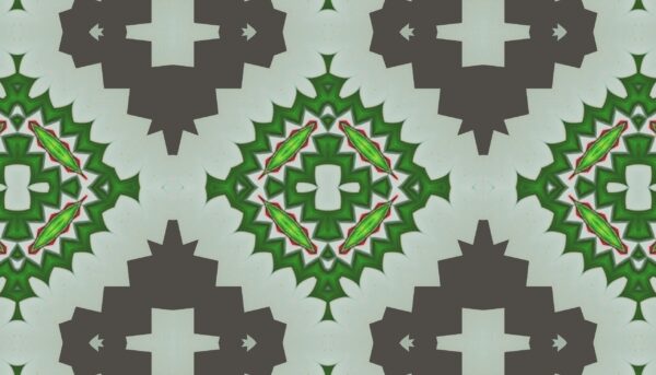 Agrotonomy tomato book cover - Image 5