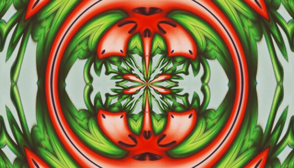 Agrotonomy tomato book cover - Image 19