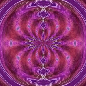 Bird - Lilac-Breasted-Roller