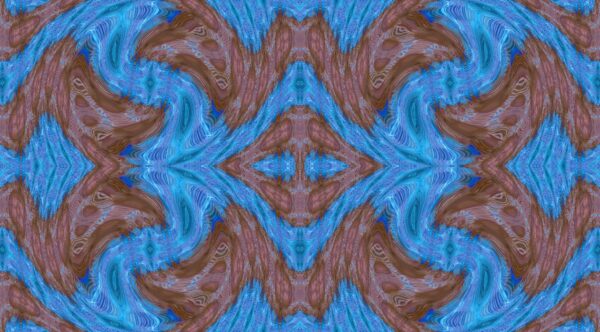 Bird - Lilac-Breasted-Roller - Image 7