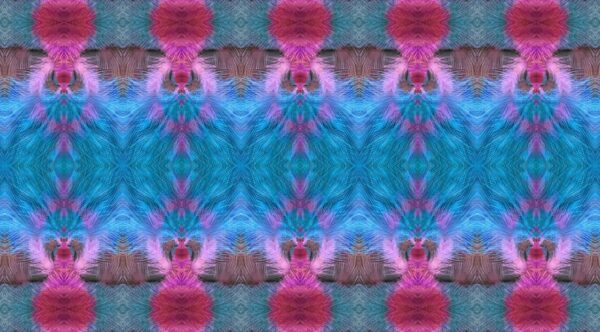 Bird - Lilac-Breasted-Roller - Image 10