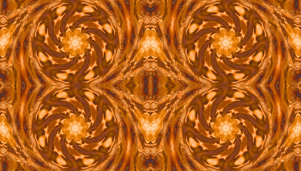 Fire Fox - facinng - Image 22
