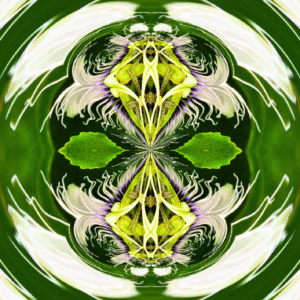 Grinder - passion flower