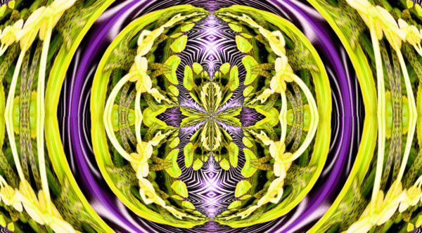 Grinder - passion flower - Image 10