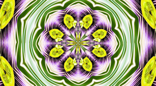 Grinder - passion flower - Image 11