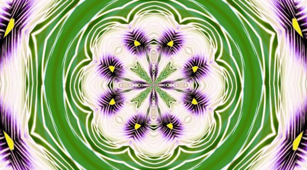 Grinder - passion flower - Image 12