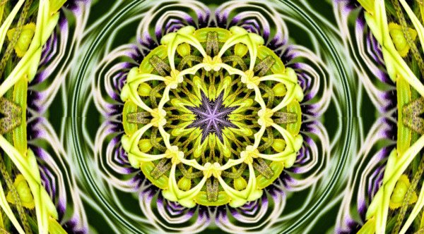 Grinder - passion flower - Image 13