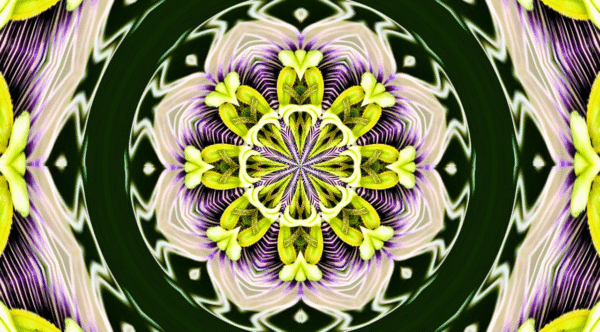 Grinder - passion flower - Image 14