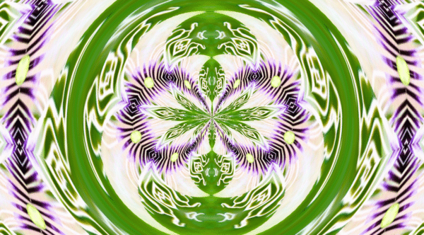 Grinder - passion flower - Image 2