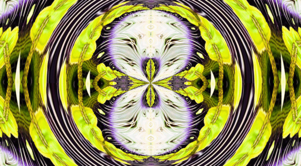 Grinder - passion flower - Image 4