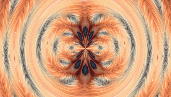 Fire Fox - facinng - Image 8