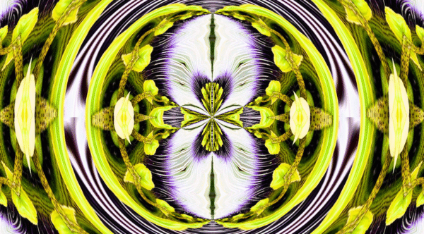 Grinder - passion flower - Image 5