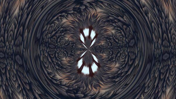 Fire Fox - facinng - Image 9