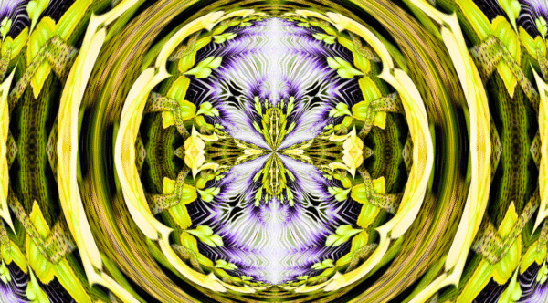 Grinder - passion flower - Image 6