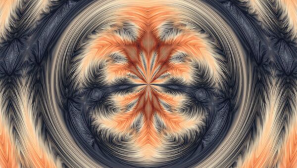 Fire Fox - facinng - Image 10