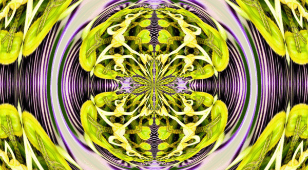 Grinder - passion flower - Image 8