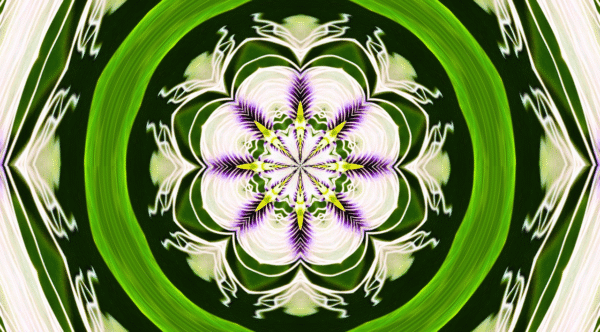 Grinder - passion flower - Image 15