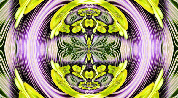 Grinder - passion flower - Image 19
