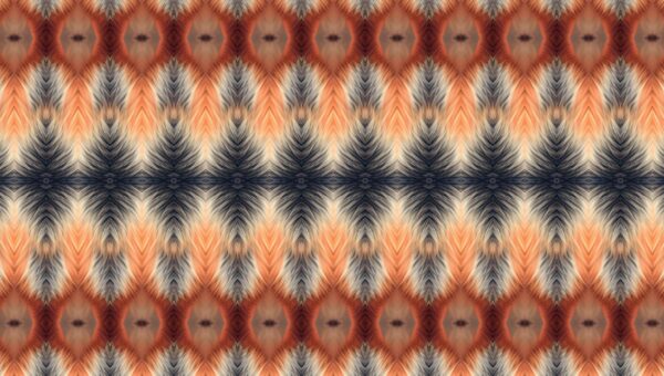 Fire Fox - facinng - Image 18