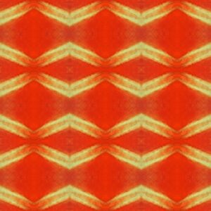 Tulip - red & yellow