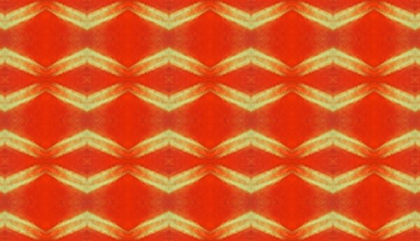 Tulip - red & yellow - Image 8
