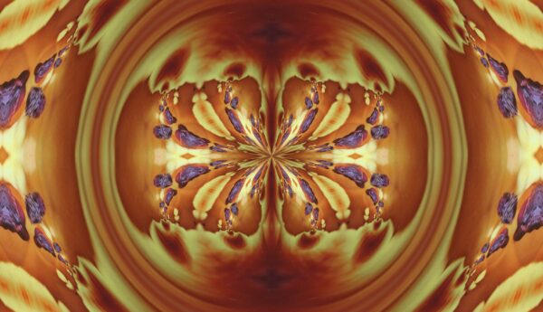 Tulip - red & yellow - Image 9