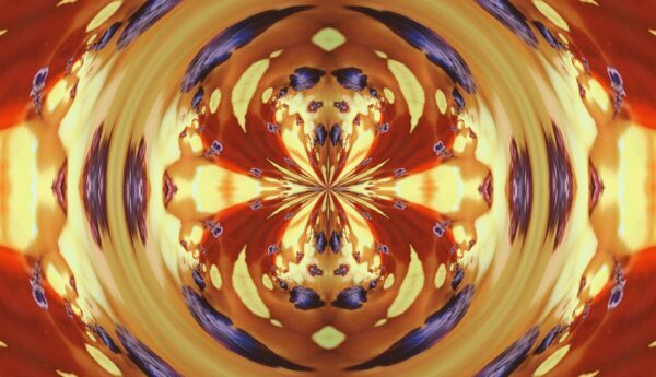 Tulip - red & yellow - Image 10