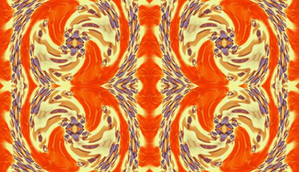 Tulip - red & yellow - Image 15