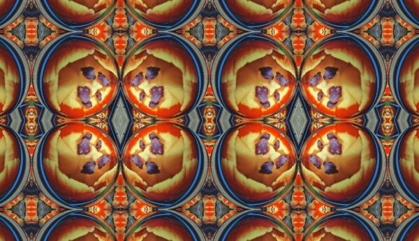Tulip - red & yellow - Image 21