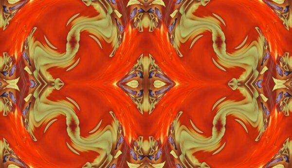 Tulip - red & yellow - Image 3