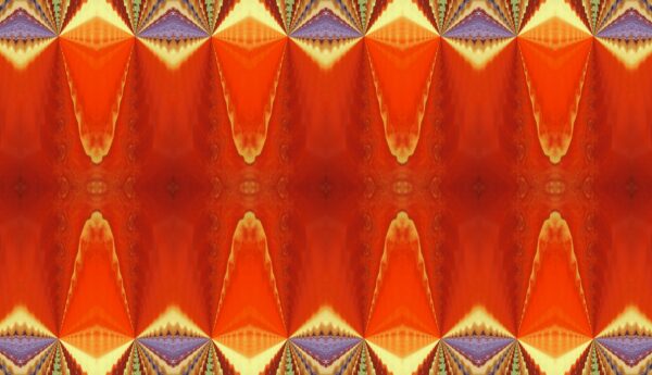 Tulip - red & yellow - Image 5