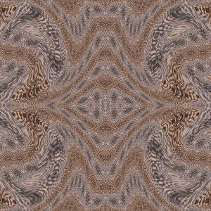 Bird with wings and tail feathers spread